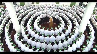 Zikir Lailahaillallah