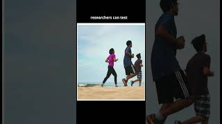 Image Recognition: FACET: Fairness in Computer Vision Evaluation Benchmark