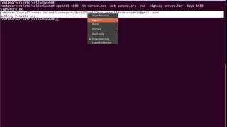 How to Enable SSL setting to use SSL connection on nginx