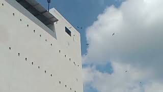 on perdana rbw 4x16 4 lntai sp bintang 5 respon mantap.