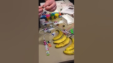 Makey Makey Banana Keyboard
