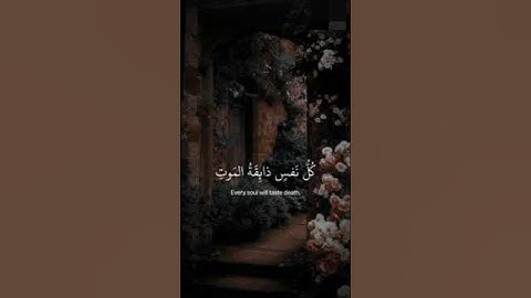 سورة : العنكبوت آية : ٥٦-٥٧ القارئ عبد الرحمن مسعد #قرآن