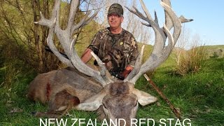 Hunting Red Stags New Zealand with Amplehunting, Winter.