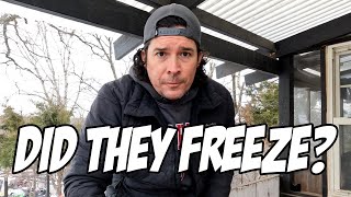 Freezing on the Farm // Farm Friday // Farm Vlog