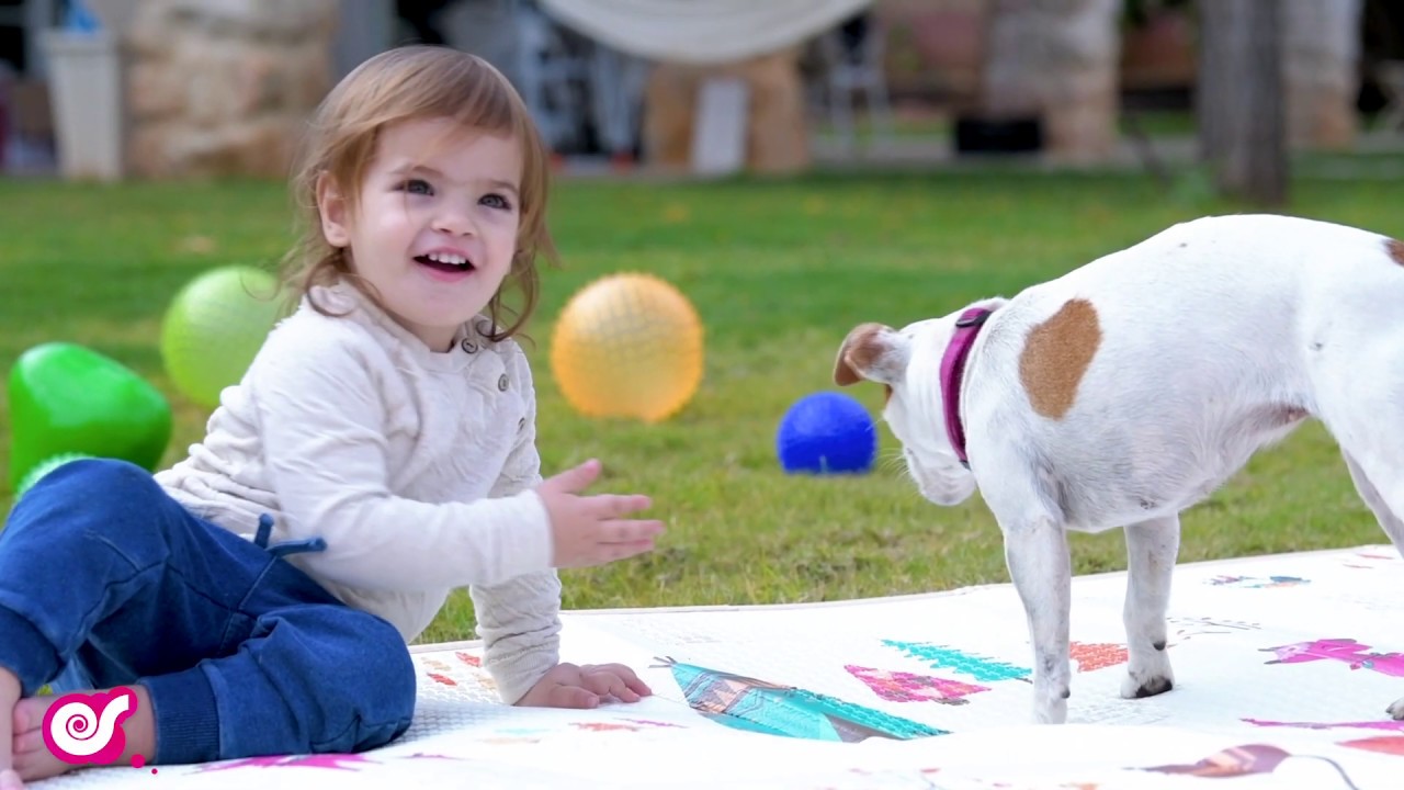 Edushape - 2020 New Collection