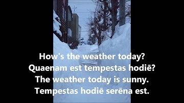 Simple Questions in Latin and English