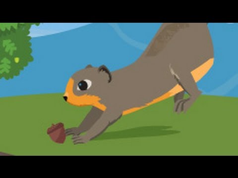 Seed Racer Plum Landing Seed Racer Cartoons Games - YouTube