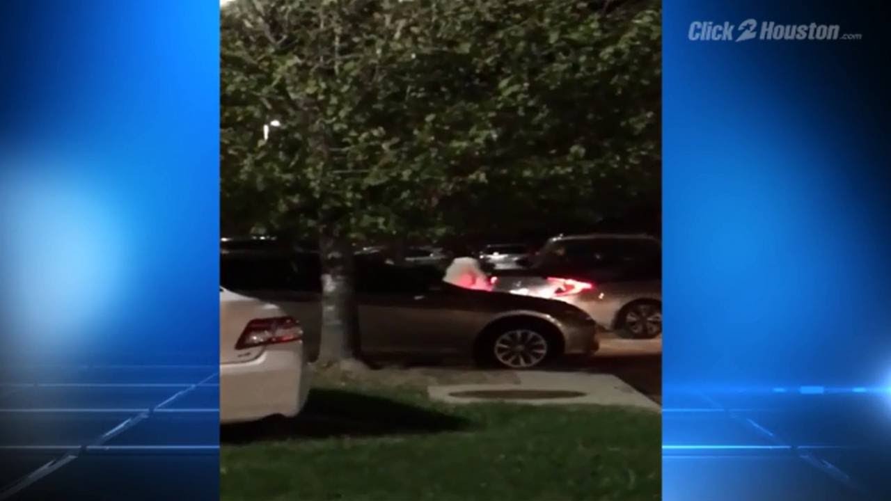 Black Friday brawl caught on camera