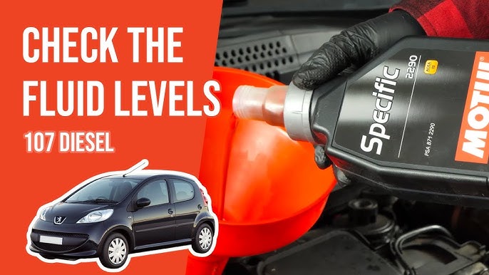 5 Ways To Properly Check And Maintain Fluid Levels In 2024