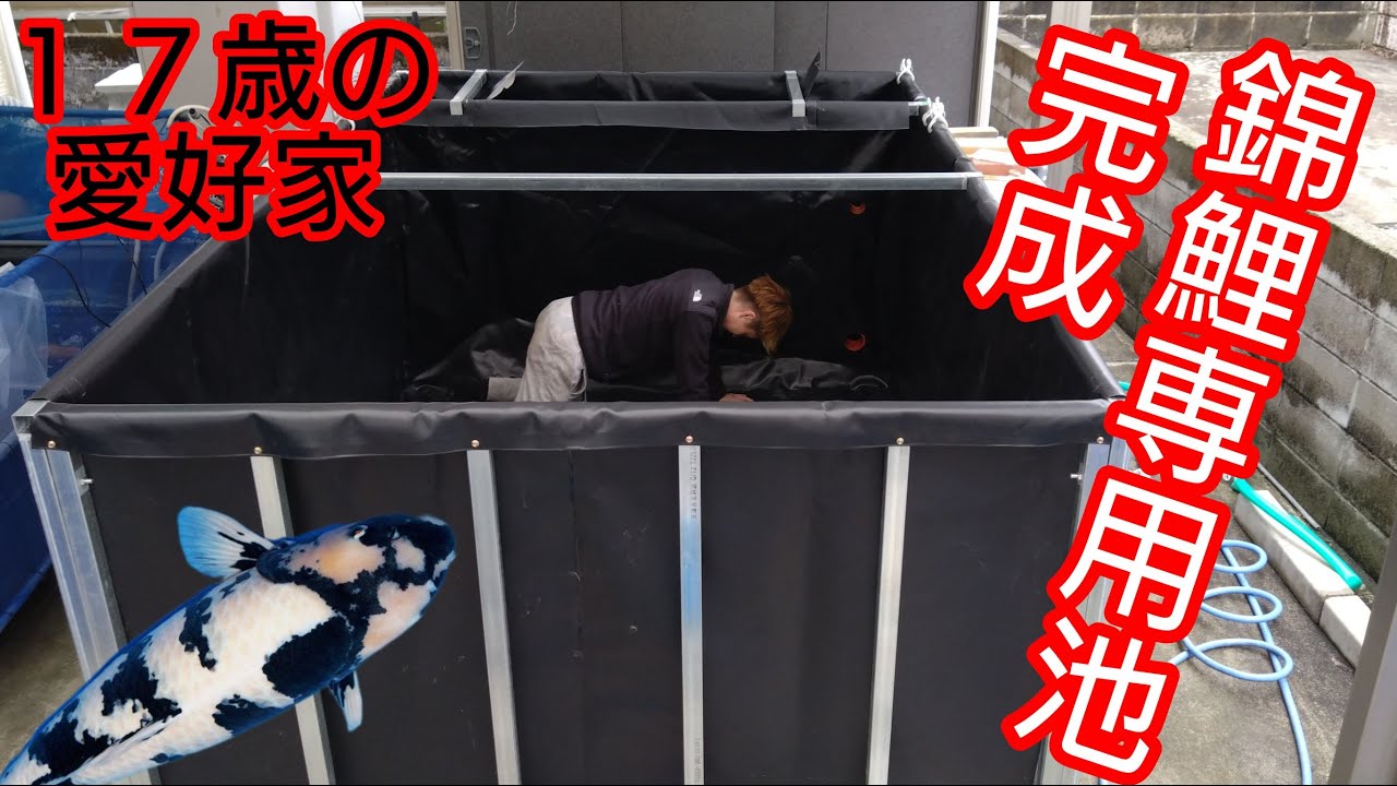 待望の【錦鯉専用池】7㌧ろ過槽付き、新設備が完成！　#錦鯉 　#アクアリウム　 #koipond 　#日本エコル 　#陸上養殖