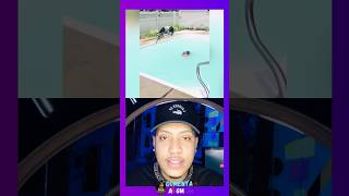 Esse cachorro não tem noção de espaço 😂  #viralvideo  #react #memes #humor #brasil #shorts