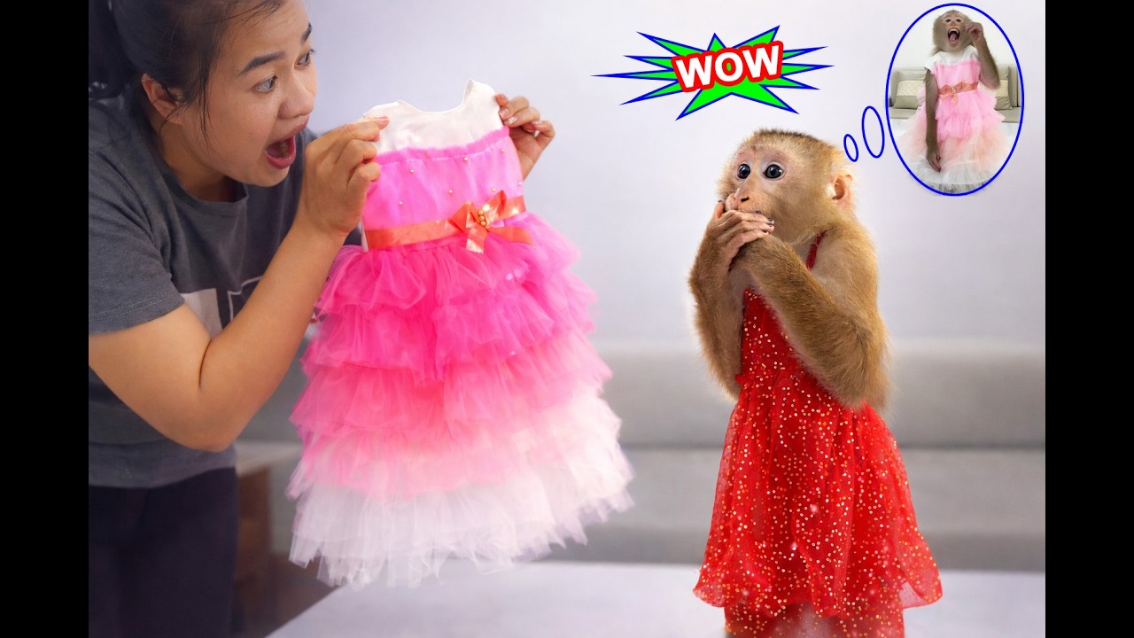 Wow...! Monkey Lyly couldn't believe her eyes; this was the dress her mother had given her.