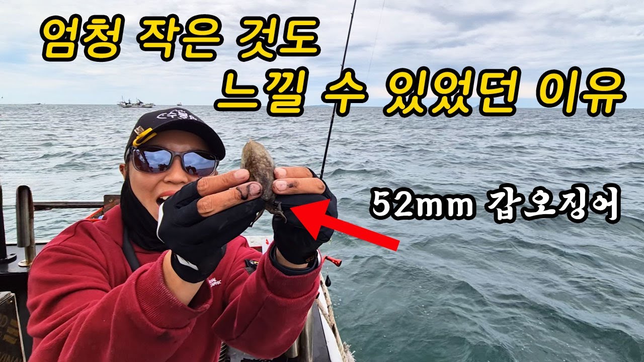 갑오징어낚시 누구나 할 수 있는 이 방법을 아는 순간 조과가 달라집니다!