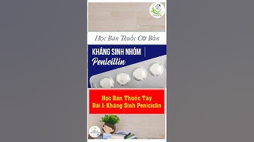 Kháng sinh nhóm penicilin | Học Bán Thuốc Tây Bài 1 | Y Dược TV #catlieuthucte #hocbanthuoctay