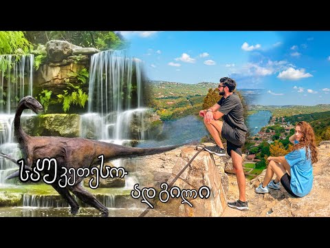 რას ვესტუმროთ ოსტინში | შრომის დღე ამერიკაში | იაპონური ბაღი | Mt Bonnell | Zilker Botanical Garden