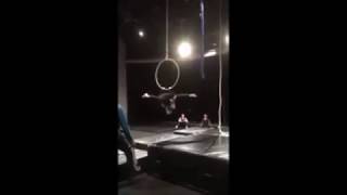 This Is Me From Greatest Showman  Circus Lyra Performance