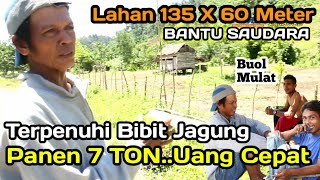 Cara Bangun Kehidupan Saudara Bertani || Hasil Jagung Ton - Ucap Pak Edy