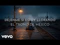 El Trono De México - Déjenme Si Estoy Llorando (Visualizer)