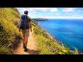 The Most Terrifyingly Beautiful Walk in New Zealand? Coastal Nature Walking Tour [4K ASMR No Music]