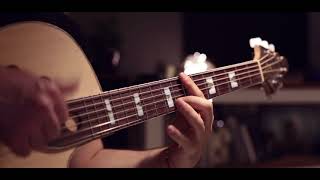 andy mckee cover on a self made guitar!
