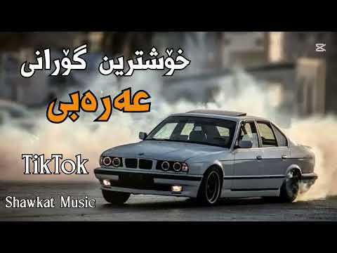 حیدراللامي الصدیق خۆشترین گۆرانی عەرەبی تيك توك2025 ربعي وما اسامحهم