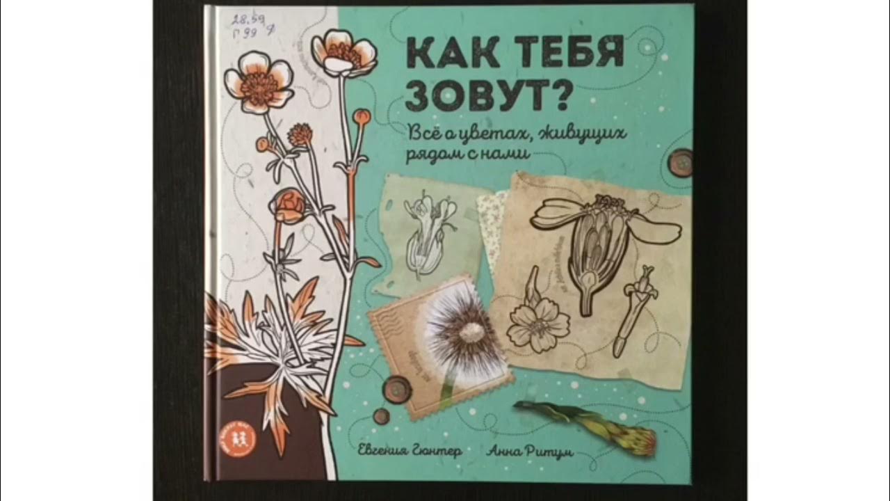 Как тебя зовут книга об удивительных. Цветок,как тебя зовут. Гюнтер е. 3d-книга с оживающей реальностью "лес"». Цветок,как тебя зовут.
