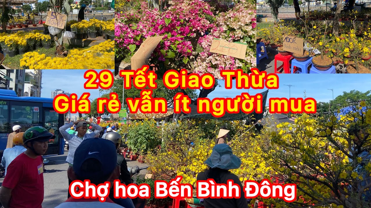 29Tết giao thừa ngày cuối khách mua quá ít chợ hoa Bến Bình Đông #tet 
