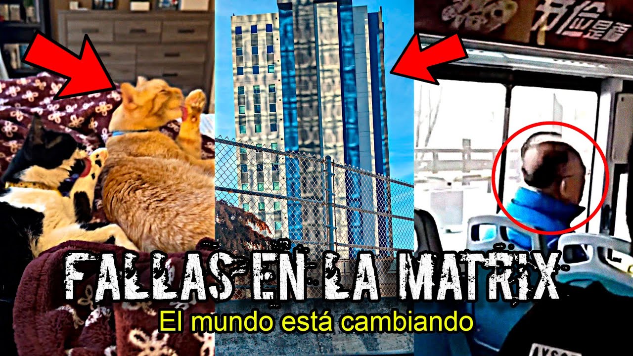 ALERTA por FALLAS en la MATRIX en TODO el MUNDO que ya NO PUEDEN ...