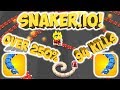 Snakerio gameplay  world record  250  94 kills