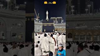 Tu Rehman Tu Rahem #shorts#status#video#islamic#youtubeshorts#viral