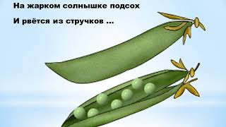 Анимированная GIF видео  викторина «Осенний урожай» 1класс