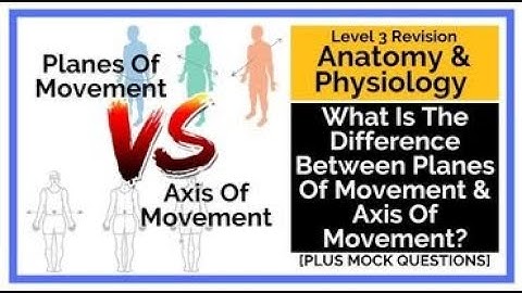 What Is The Difference Between Planes of Movement and Axis of Movement