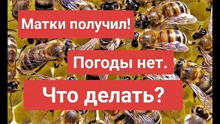 Матки получил! Погоды нет. Что делать?