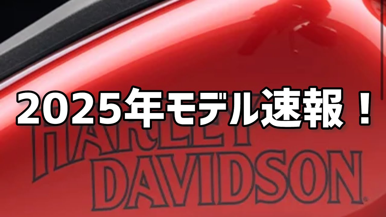 ハーレー　ステッカー　2025　自作品　Type-Z02　特殊形状　カラー変更可 ハーレー ステッカー 2025 自作品 Type-Z02 特殊形状 カラー変更