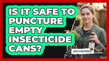Is It Safe To Puncture Empty Insecticide Cans?