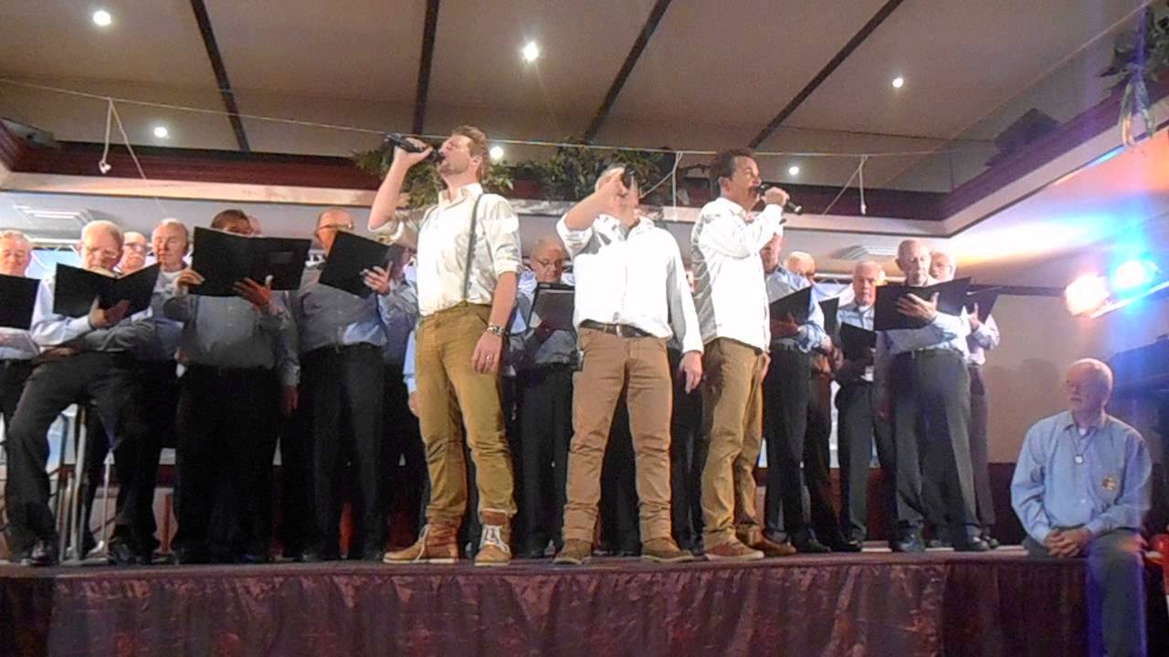 ANCORA - MOLLY MALONE