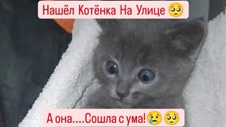 НАШЁЛ  КОТЁНКА на УЛИЦЕ 🥺 А она Сошла с Ума!🥺😢