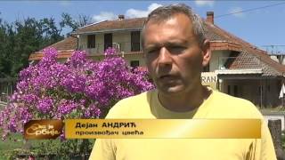 Ovo je Srbija 05. 07. 2016.