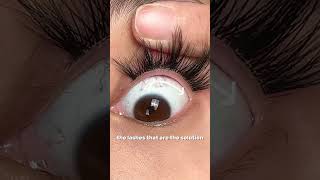 I won't refuse to use such perfect eyelashes