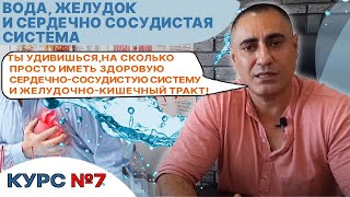 Курс 7 Вода, Желудок и Сердечно Сосудистая система