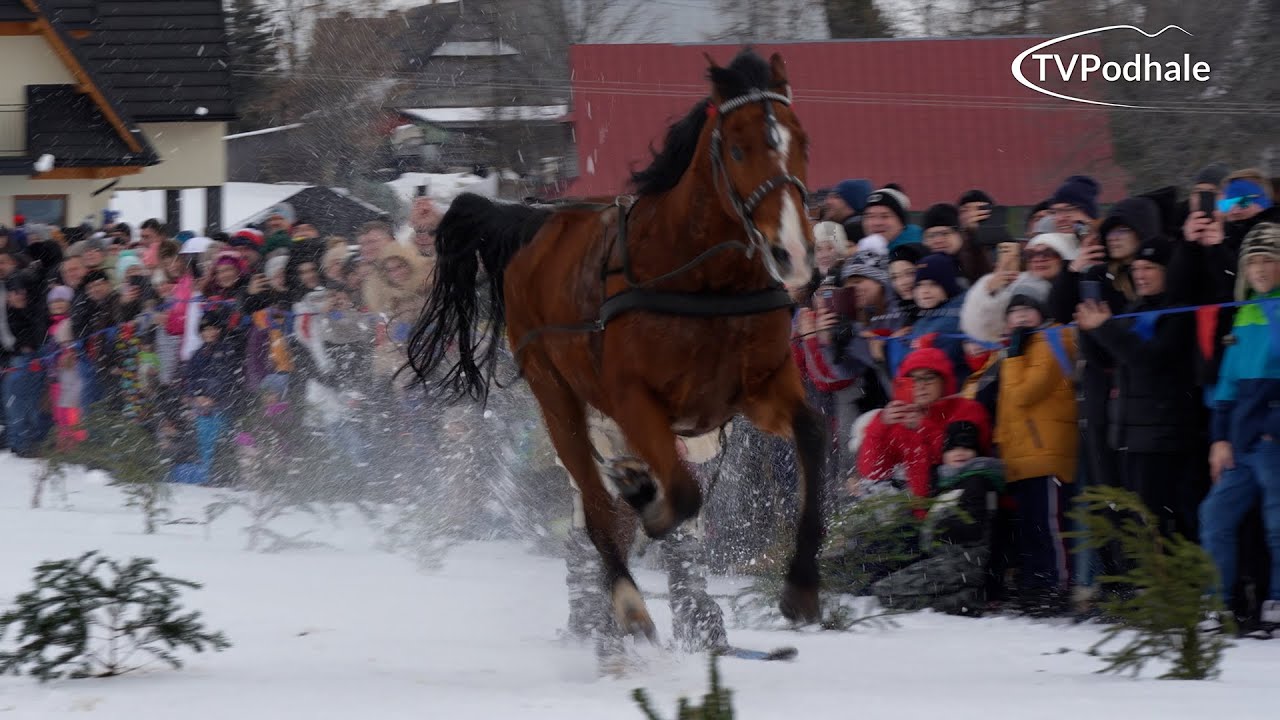 Parada Gazdowska 2026 w Zębie | 25.01.2026