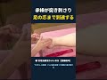 赤棒が突き刺さり 足の芯まで到達する #ゴリゴリ #足つぼ #セルフマッサージ #ドッキリ