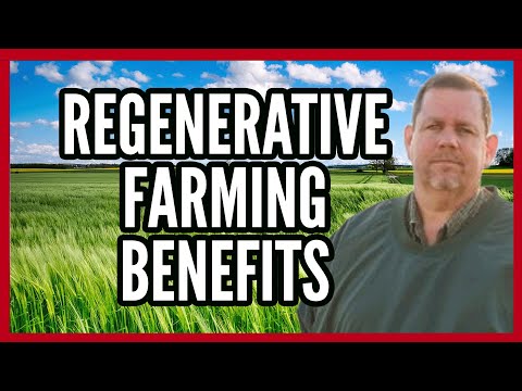 Power of Regenerative