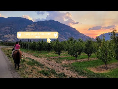 Tack up and ride with me! - YouTube
