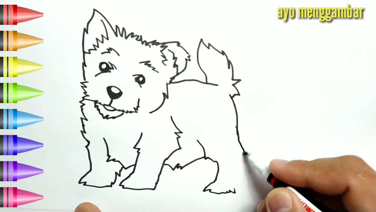 MUDAHNYA ,ayo belajar cara menggambar ANAK ANJING dan mewarnai kartun