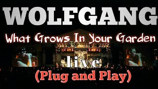 WOLFGANG - What Grows In Your Garden - Live - Plug and Play