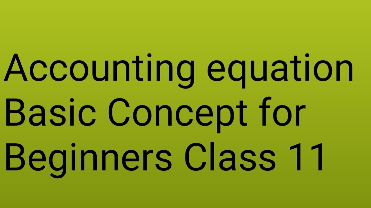 Accounting Equation class 11 basic - YouTube