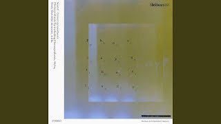 Photosynthesis - Blackbeans