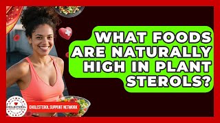 What Foods Are Naturally High In Plant Sterols? Cholesterol Support Network