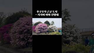 #후쿠오카 #전망대